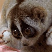 Profile Picture of Joshua (@jwiedeman) on Myspace