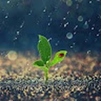 Profile Picture of Hui Xue (@hui-xue-30) on Quora