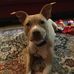 Profile Picture of Janell Floyd Hostettler (@janell.hostettler) on Facebook