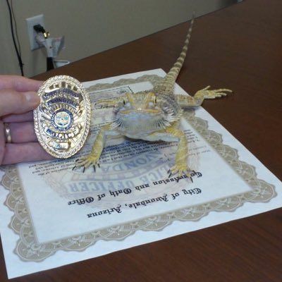 Stoney Thomas - Twitter Profile Picture of Stoney Thomas (@Tristan_Mell24) on Twitter