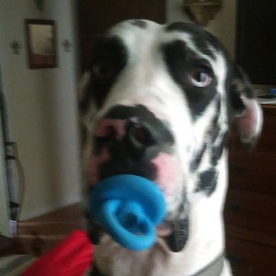 Profile Picture of Nathan Arthur (@nathanarthur801) on Twitter