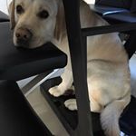 Profile Picture of Jingwei Zhang (@jingwei.zhang.5686) on Instagram