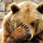 Profile Picture of Lisa Hebert (@lisa_hebert61) on Instagram