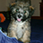 Profile Picture of Veronica Rodriguez (@verorodri) on Flickr