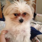 Profile Picture of Benjamin Franklin Gilman (@theoneandonlybennybooboo) on Instagram