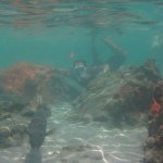 Profile Picture of Brian (@brianperchick) on Instagram