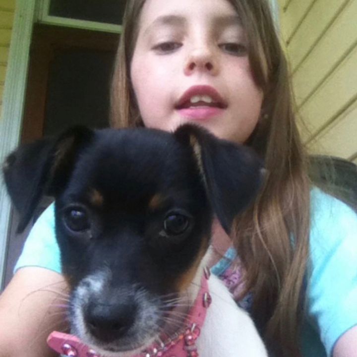 Profile Picture of willoughby (@willoughbyybrown) on Tiktok