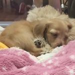 Profile Picture of Mari Higuchi (@mari.higuchi) on Instagram