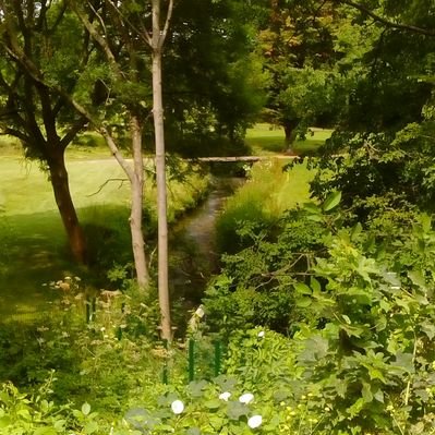 Profile Picture of Adam Fields (@2galaxy) on Twitter