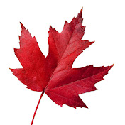 Profile Picture of Jeff Dantowitz (@JeffDantowitz) on Youtube