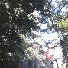 Profile Picture of Sheldon Shen (@Sheldon_GuShen) on Twitter