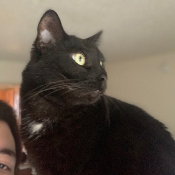 Profile Picture of Kevin Eddings (@kbvmb) on Poshmark