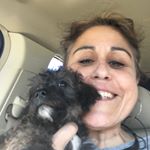 Profile Picture of Aimee Minopoli Ramsey (@aimeeminopoliramsey) on Instagram