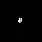 Profile Picture of Irvine Vynie Kayz's Kanye (@irvinekyz.kanyenda) on Facebook