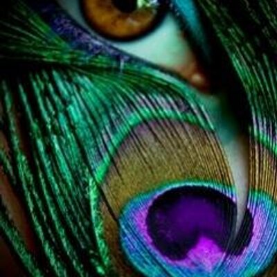 Profile Picture of Hiren Pandya (@hirenpandya85) on Twitter