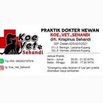 Profile Picture of Krispinus Sehandi (@koe_vet_sehandi) on Instagram