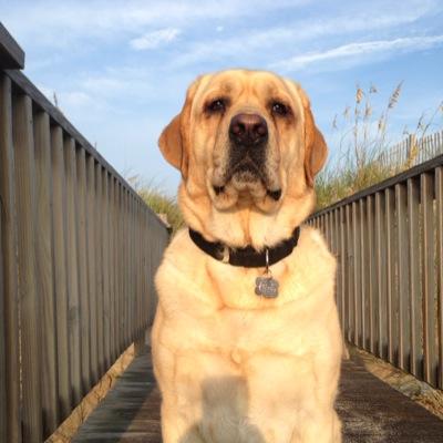 Profile Picture of Patrick Randle (@patrickrandle) on Twitter