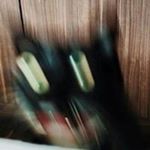 Profile Picture of Jared Berkowitz (@replicant_trash) on Instagram