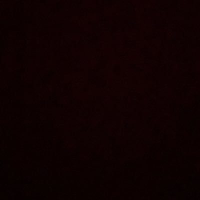 Profile Picture of Reese Allen (@Reese_allen21) on Twitter