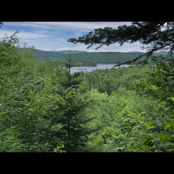 Profile Picture of Schatteman Anne (@annes392) on Poshmark