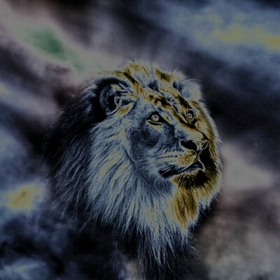 Profile Picture of Joshua Putman (@K1ngofda_jungle) on Twitter