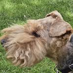 Profile Picture of David Ohler (@David-Ohler) on Facebook