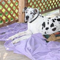 Profile Picture of Donna Andrews (@donna-andrews-12) on Quora