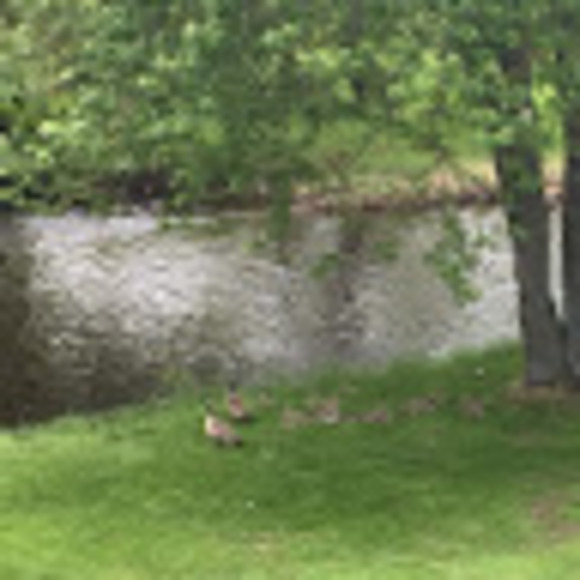 Profile Picture of Leah Timmer (@leahkaye28) on Poshmark