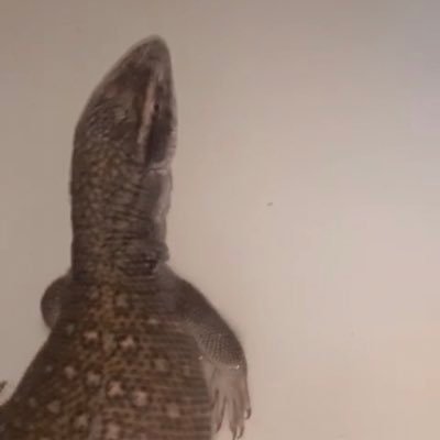 Profile Picture of Demba Ba / Rod Wave Stan (@YungDaniel300) on Twitter