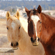 Profile Picture of Alex Krebs (@alexkrebsss) on Youtube