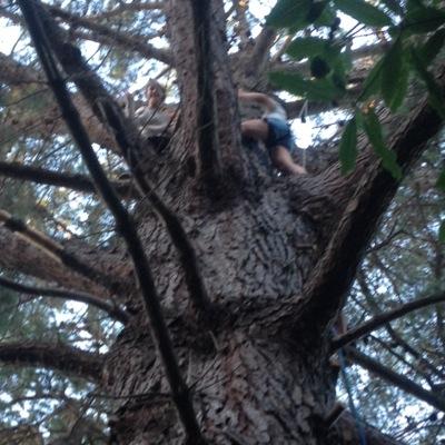 Profile Picture of Lily Neal (@LilyNeal0) on Twitter