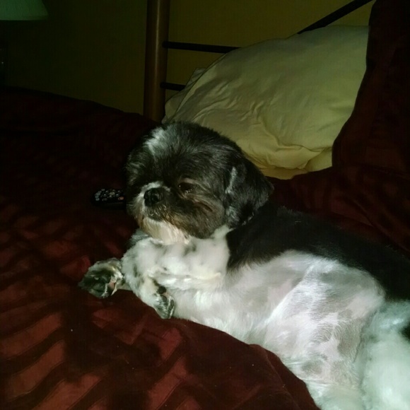 Profile Picture of Phyllis Collins (@phylsie) on Poshmark