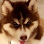 Bryant Tucker - Instagram Profile Picture of Bryant Tucker (@bryant_tucker_) on Instagram