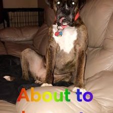 Bianca Perkins - Twitter Profile Picture of Bianca Perkins (@Bianca7746) on Twitter