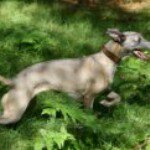 Cassandra Allen - Instagram Profile Picture of Cassandra Allen (@casallen35) on Instagram