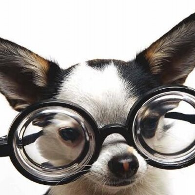 Profile Picture of Adrian Cho (@Cho_Adrian) on Twitter