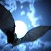 Profile Picture of Renaldo Paez (@renaldo.paez.3367) on Facebook
