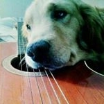 Profile Picture of Brandon Revels (@brandon.revels) on Instagram