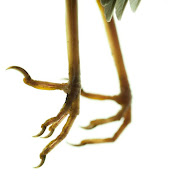 Profile Picture of Kit Martin (@kitmartin6320) on Youtube