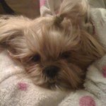 Profile Picture of debra_rhodes (@debra_rhodes) on Instagram