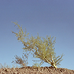 Profile Picture of Daniel Arias (@guanizuil) on Flickr