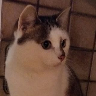 Profile Picture of Peter Gerstl (@gerstl.peter) on Facebook