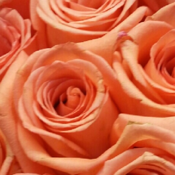 Profile Picture of Crystal Albrecht (@sunsets94) on Poshmark