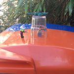 Profile Picture of Mees Beukenhorst (@chi.ka.dee) on Instagram