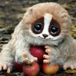 Profile Picture of lilly Albert (@098lillealbert) on Instagram