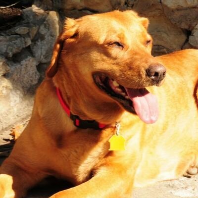 Profile Picture of Patrick Muirhead (@MuirheadPatrick) on Twitter