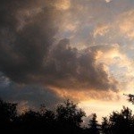 Profile Picture of Farndon (@farndonkopp) on Instagram
