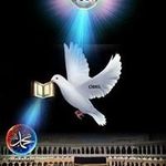 Profile Picture of Tariq Rashid (@tariqrashid5252) on Instagram