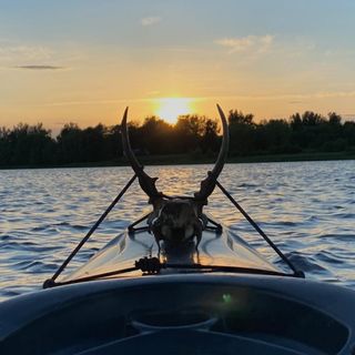 Zane Kennedy - Instagram Profile Picture of Zane Kennedy (@zane.kennedy99) on Instagram