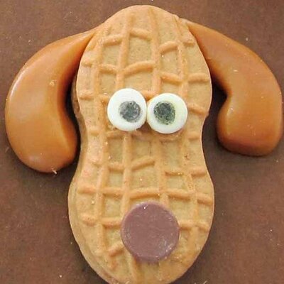 Profile Picture of Randybosley (@randybbosley) on Twitter